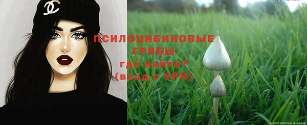 меф Арсеньев
