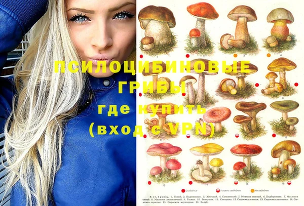 меф Арсеньев