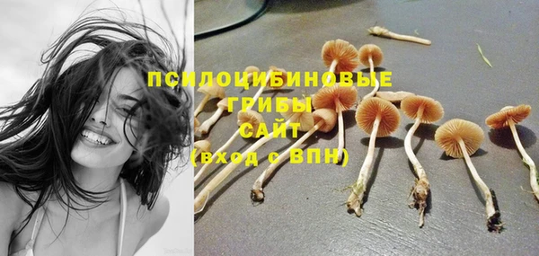 молекула духа Армянск