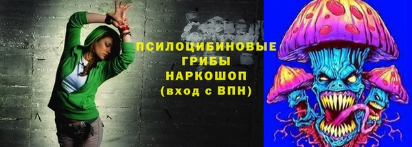 меф Арсеньев