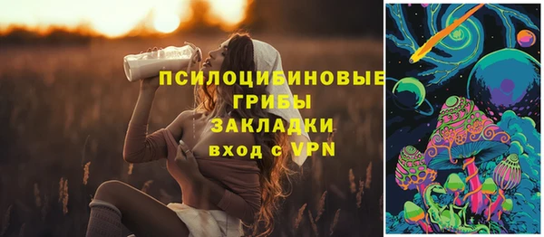 меф Арсеньев