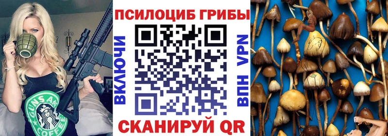это Telegram  Фрязино  Галлюциногенные грибы прущие грибы  MEGA как войти 